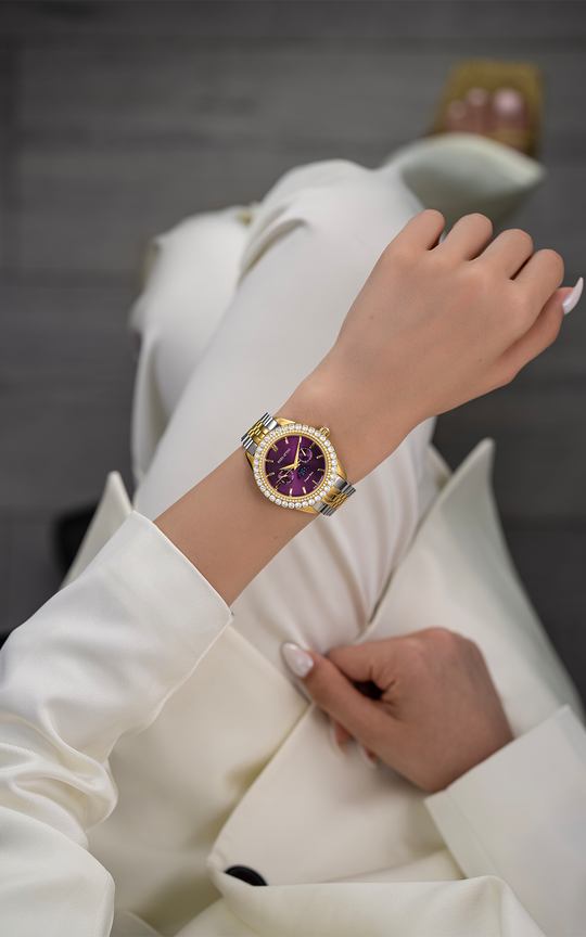 NEW Cinque Terre / President Bracelet, Silver & Gold Color, Swiss Movement.