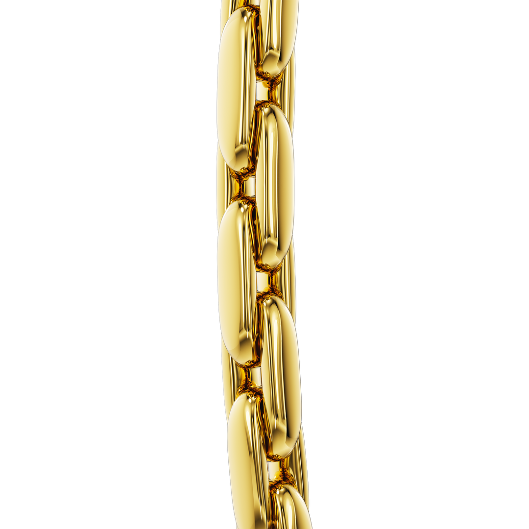 Fontana di Trevi - Coin Necklace. - Enzo Attini - Detaje të zinxhirit të larë me flori